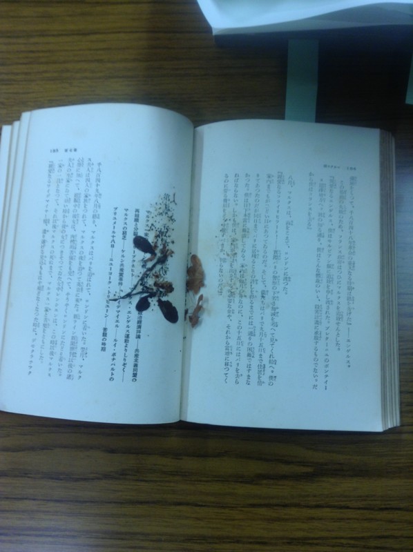 f:id:l-library:20130623145239j:image:w260