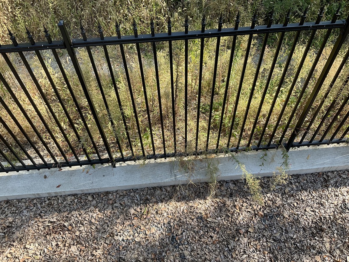 f:id:l-library:20211016100902j:plain