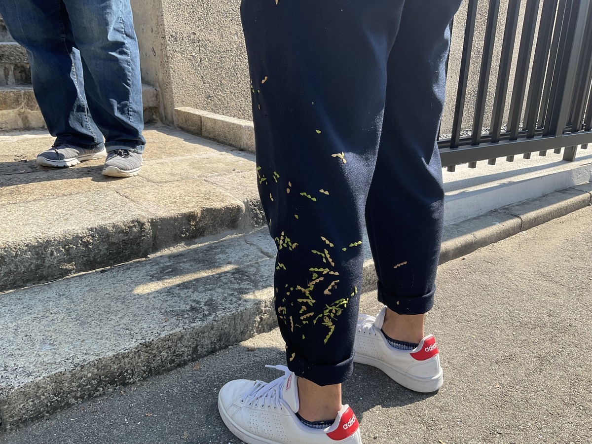 f:id:l-library:20211016104710j:plain