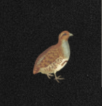 f:id:l08084:20180312160317p:plain f:id:l08084:20180312160317p:plain