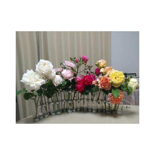 f:id:l11alcilco:20190521230456j:image
