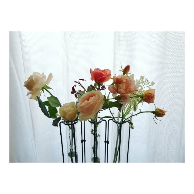 f:id:l11alcilco:20200514215648j:image