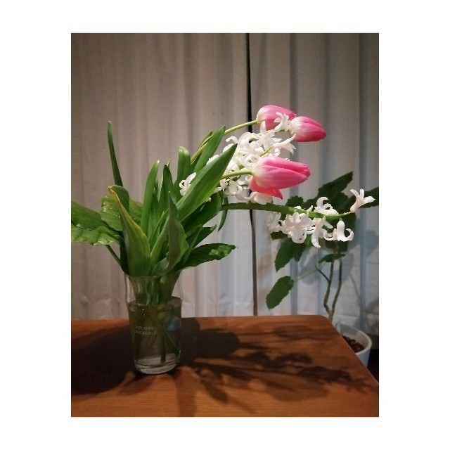f:id:l11alcilco:20220219195952j:image