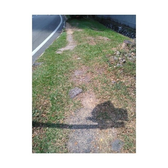 f:id:l11alcilco:20240420224820j:image