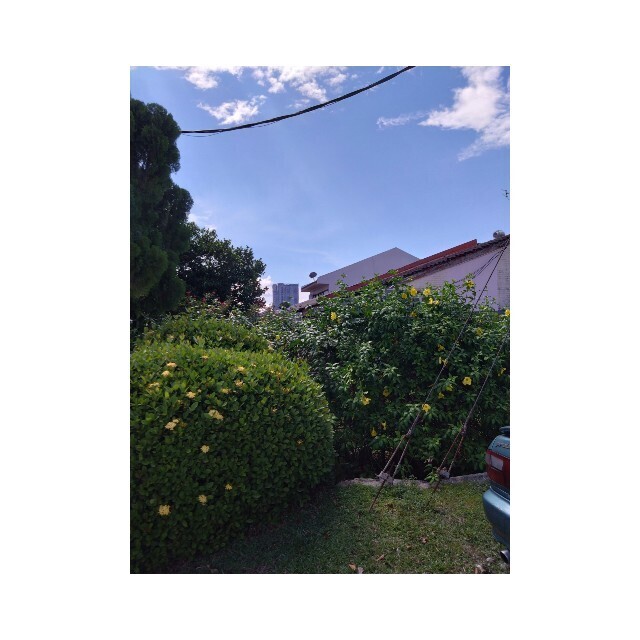 f:id:l11alcilco:20241103233338j:image