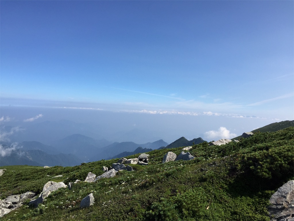 f:id:l9ebcae7a79dn7lE05SE359:20200505002737j:image f:id:l9ebcae7a79dn7lE05SE359:20200505002737j:image