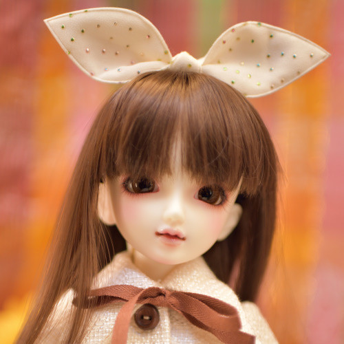 f:id:l_912y:20190125211130j:plain