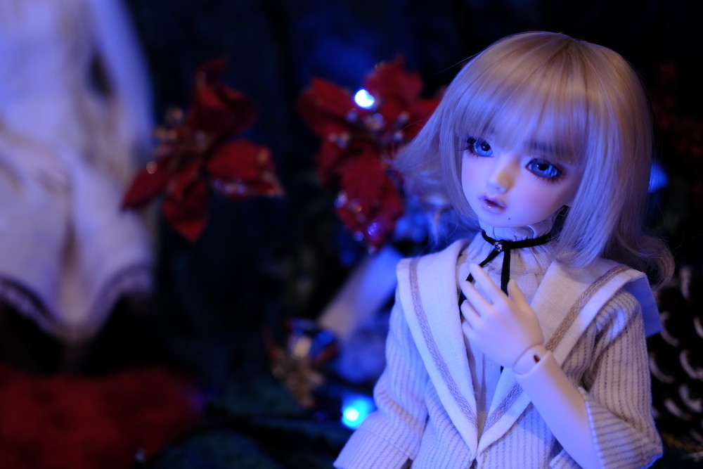 f:id:l_912y:20201128194120j:plain