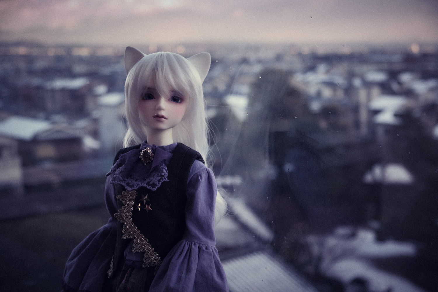f:id:l_912y:20220114161542j:plain