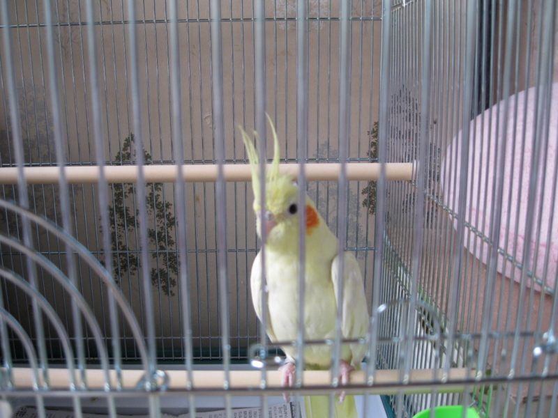 f:id:l_________l:20110803092355j:image