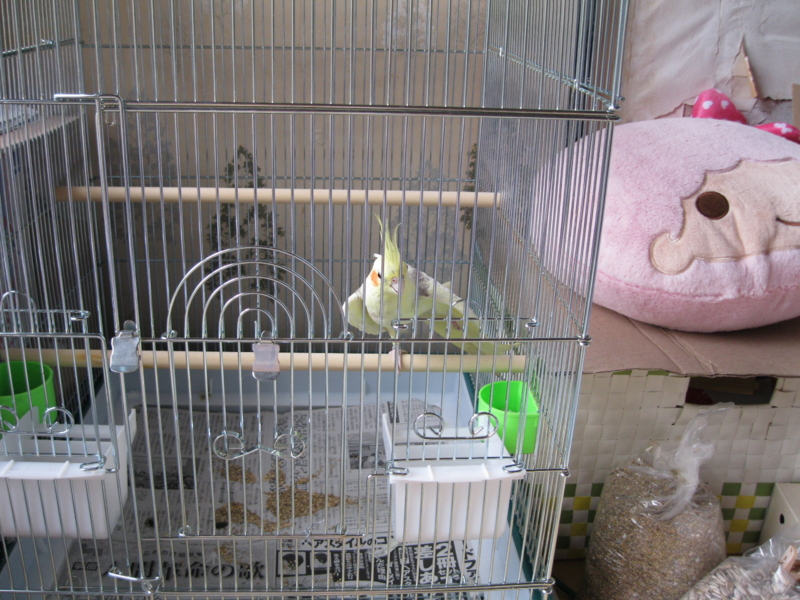 f:id:l_________l:20110803092419j:image