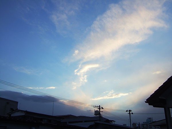 f:id:l_ange_dechu:20061202155324j:image