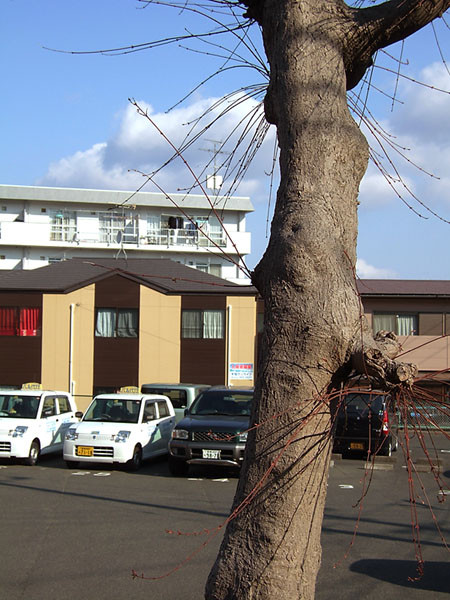 f:id:l_ange_dechu:20070323214609j:image