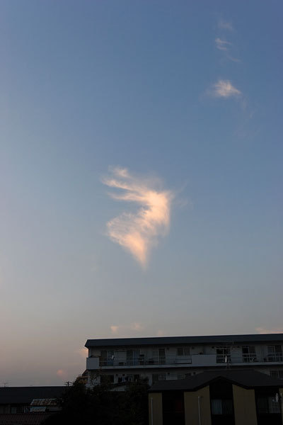 f:id:l_ange_dechu:20071026012103j:image