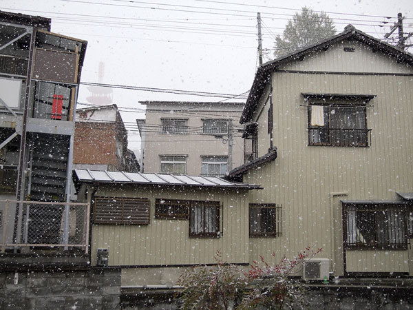 f:id:l_ange_dechu:20071123004011j:image