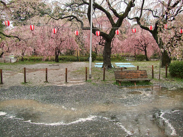 f:id:l_ange_dechu:20080418225305j:image