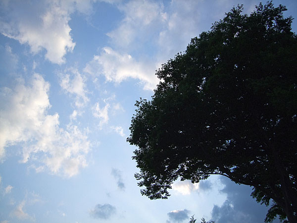 f:id:l_ange_dechu:20080527014132j:image
