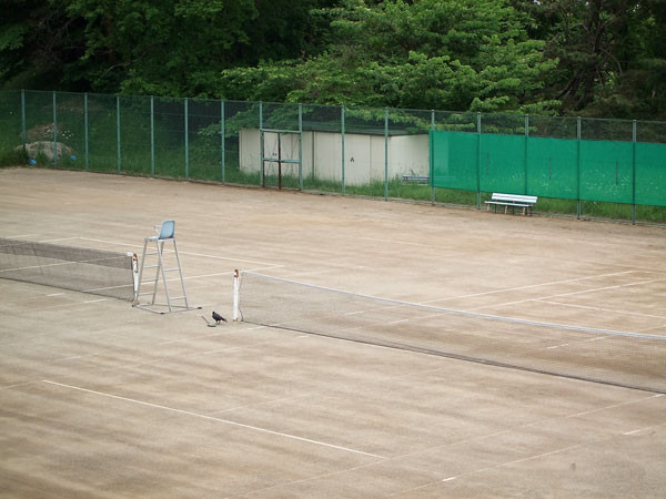 f:id:l_ange_dechu:20080528203122j:image