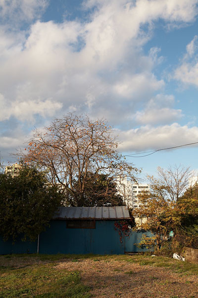 f:id:l_ange_dechu:20081125223045j:image
