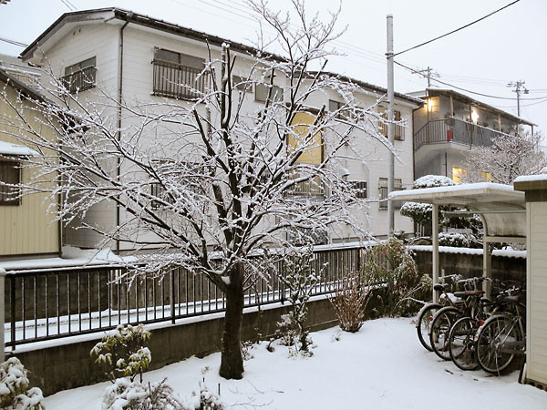 f:id:l_ange_dechu:20090131205825j:image