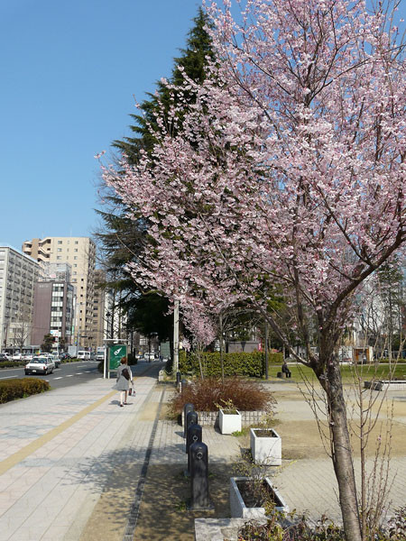 f:id:l_ange_dechu:20090406235844j:image