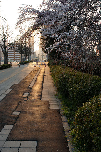 f:id:l_ange_dechu:20090411001420j:image