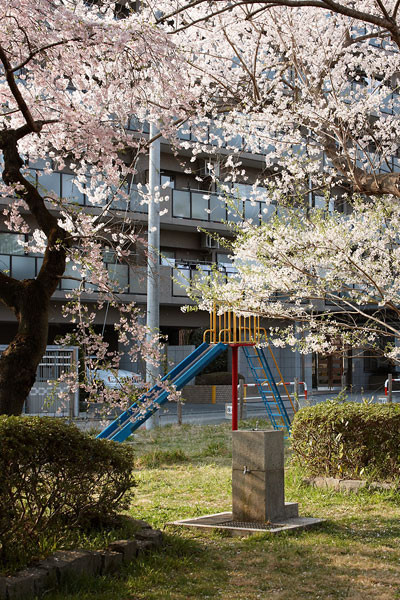f:id:l_ange_dechu:20090414003628j:image