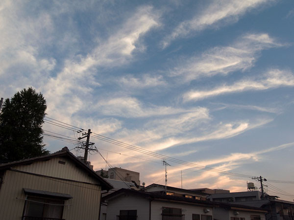 f:id:l_ange_dechu:20090630012238j:image