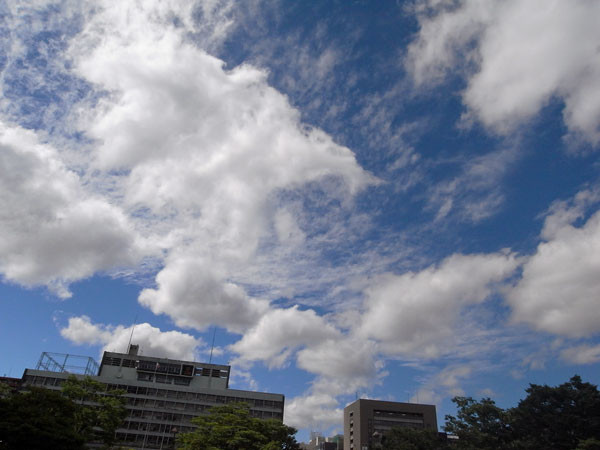 f:id:l_ange_dechu:20090711020228j:image