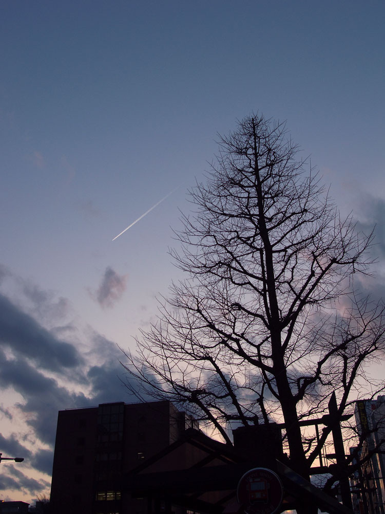 f:id:l_ange_dechu:20100212231500j:image:h600