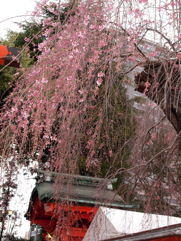 f:id:l_ange_dechu:20100413221310j:image:h600