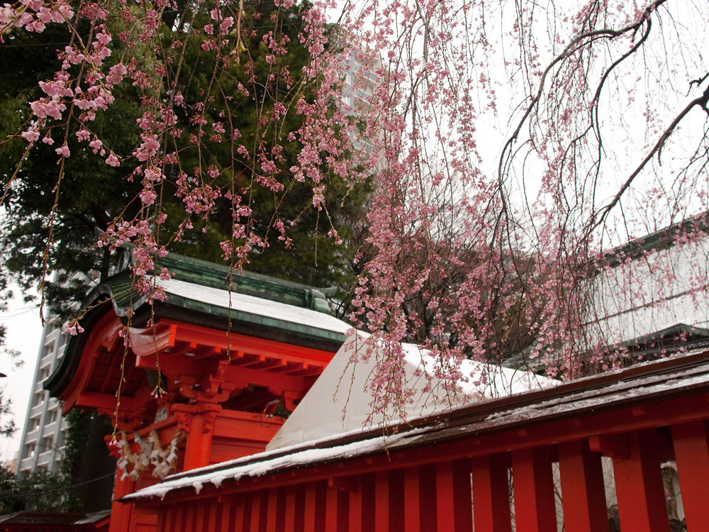 f:id:l_ange_dechu:20100417235328j:image:w600
