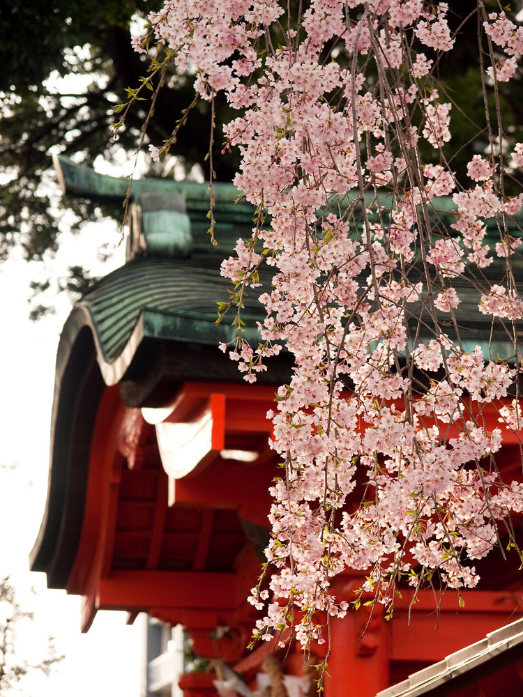 f:id:l_ange_dechu:20100421185252j:image:h600