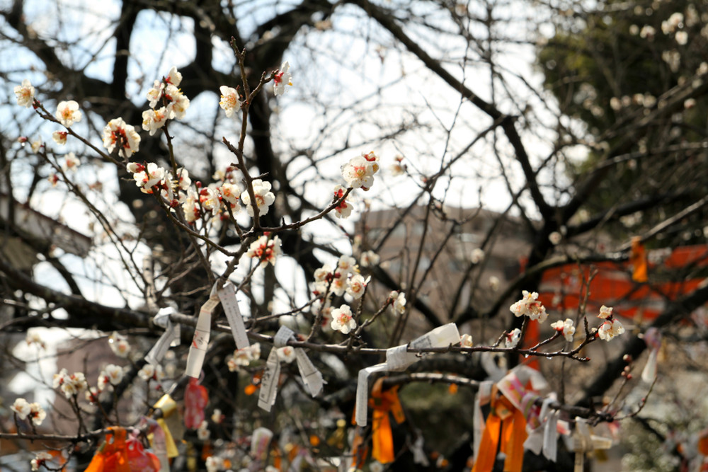 f:id:l_ange_dechu:20110316213507j:image