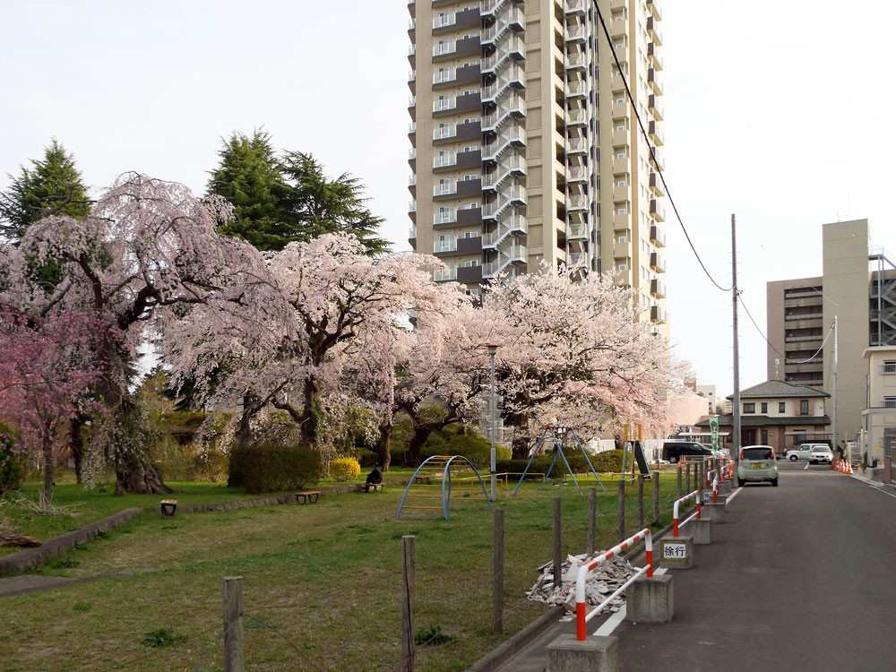 f:id:l_ange_dechu:20110419023203j:image