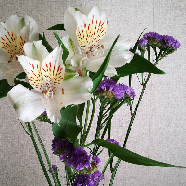 f:id:l_ange_dechu:20120418002920j:image