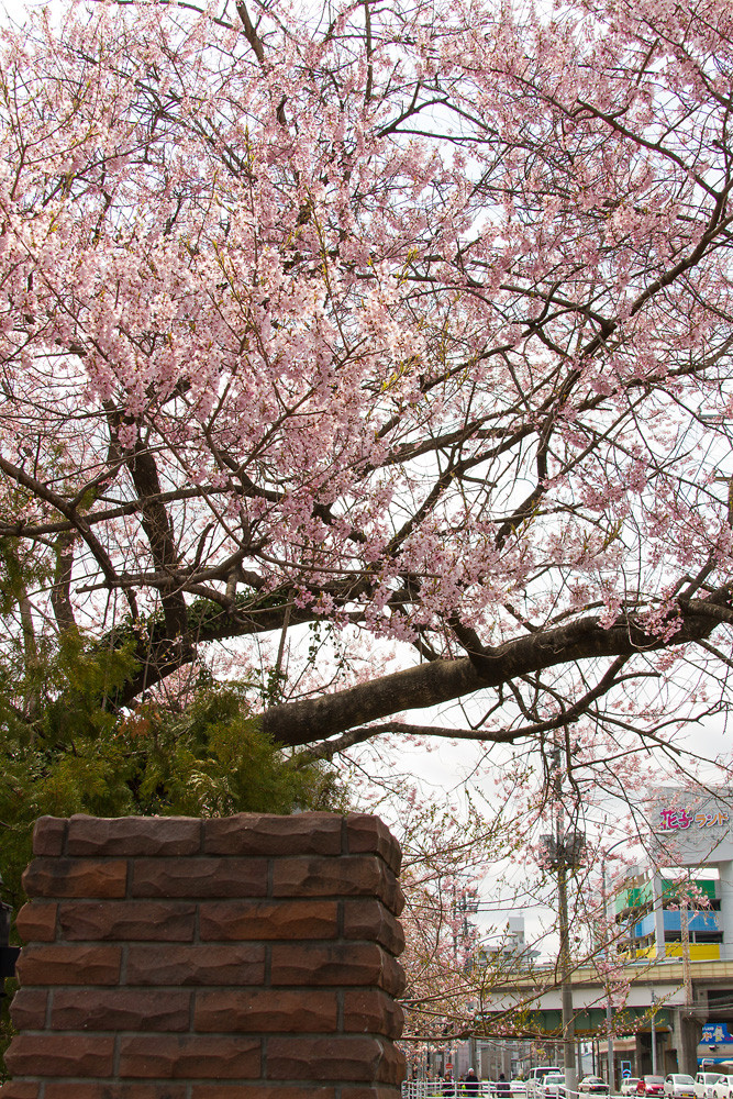 f:id:l_ange_dechu:20120422015042j:image f:id:l_ange_dechu:20120422015042j:image