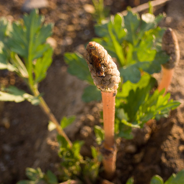 f:id:l_ange_dechu:20120429000312j:image