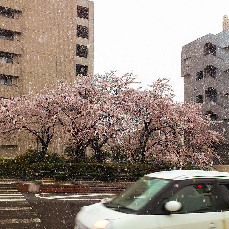 f:id:l_ange_dechu:20130423182041j:image