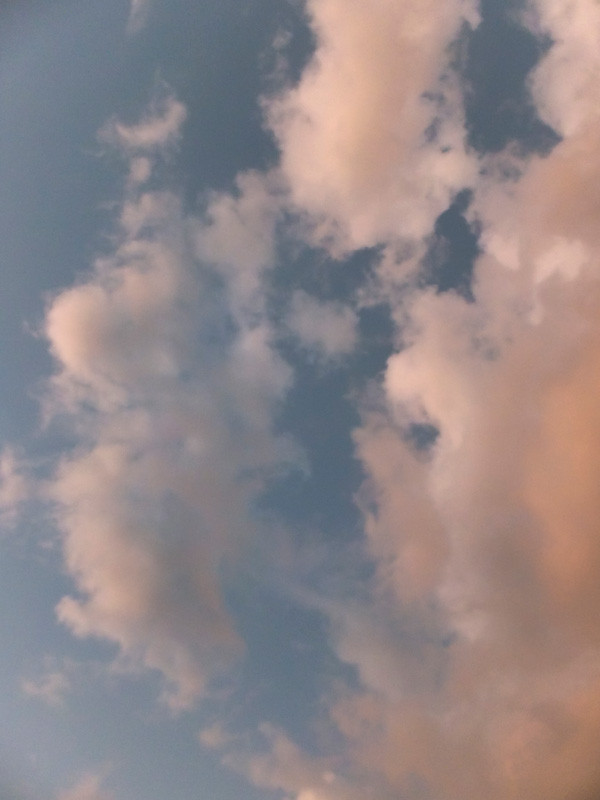 f:id:l_ange_dechu:20131107000421j:image