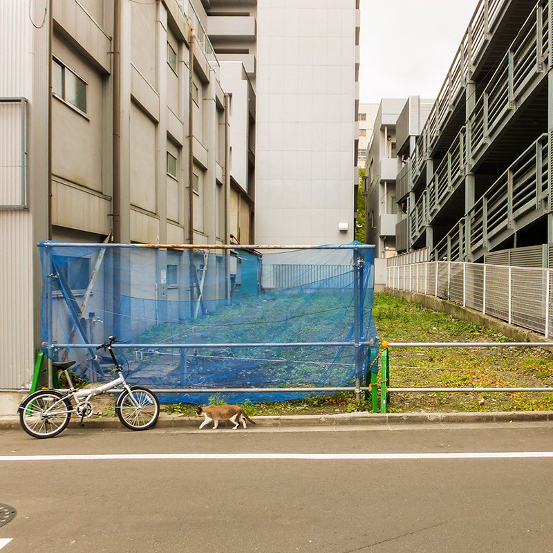 f:id:l_ange_dechu:20131121235323j:image