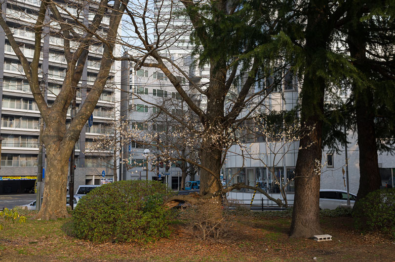 f:id:l_ange_dechu:20140328011041j:image