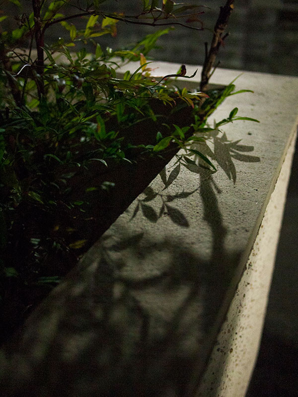 f:id:l_ange_dechu:20140624011932j:image