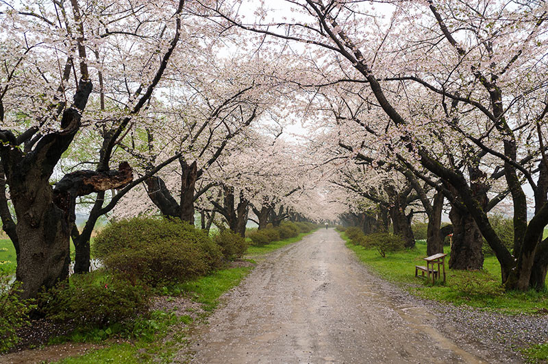f:id:l_ange_dechu:20150421012153j:image