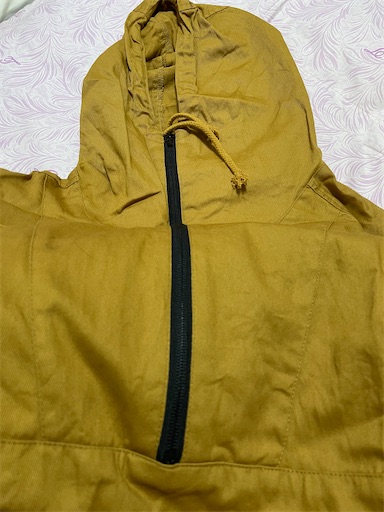 f:id:l_sabobo:20201108062515j:image