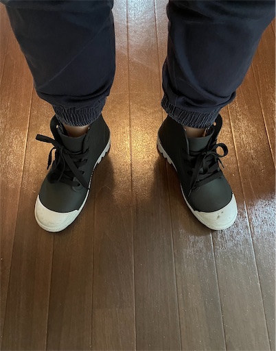 f:id:l_sabobo:20201108074506j:image