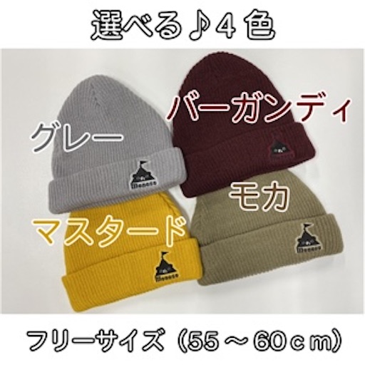 f:id:l_sabobo:20201117201537j:image