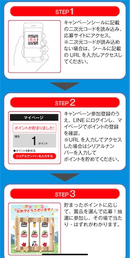 みんなも応募した？【十六茶×CHUMSコラボ】メスティンが当選しま