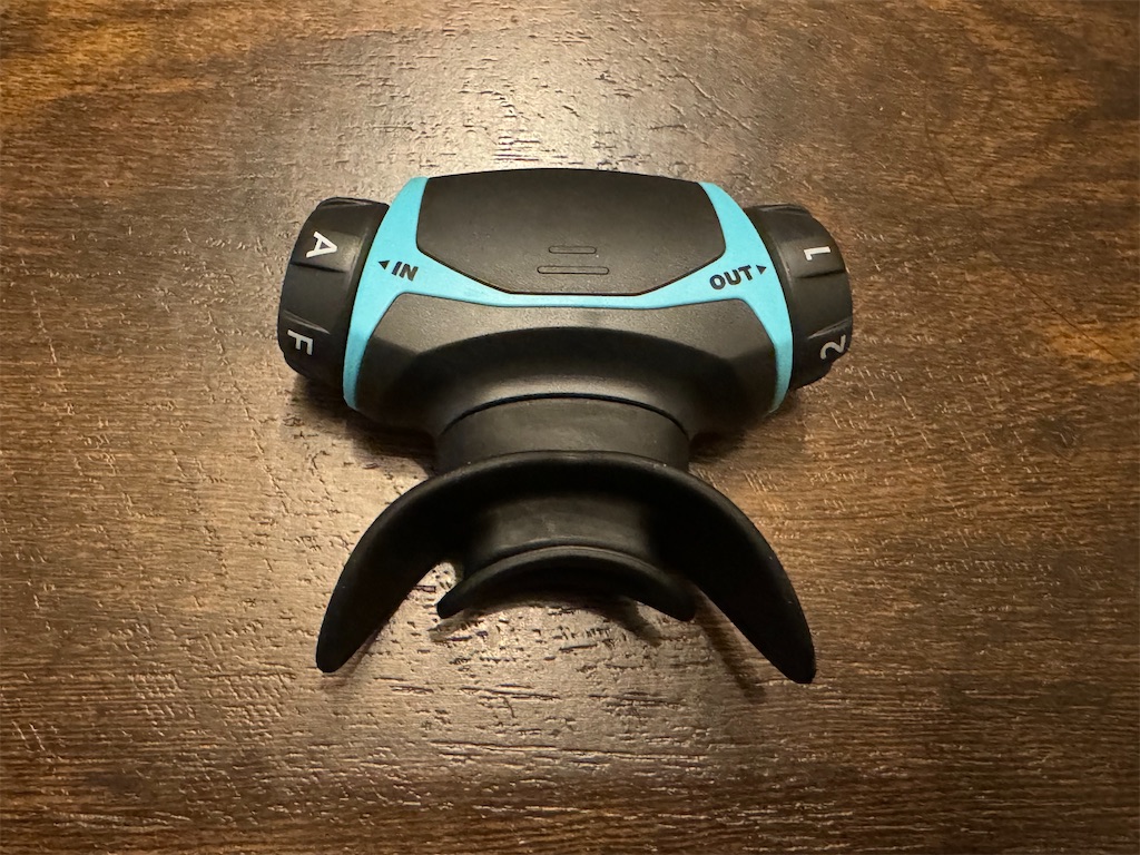 f:id:l_sabobo:20240202173510j:image