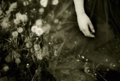 20090122195814